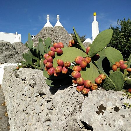 Bed & Breakfast La Collinetta Locorotondo Exterior foto