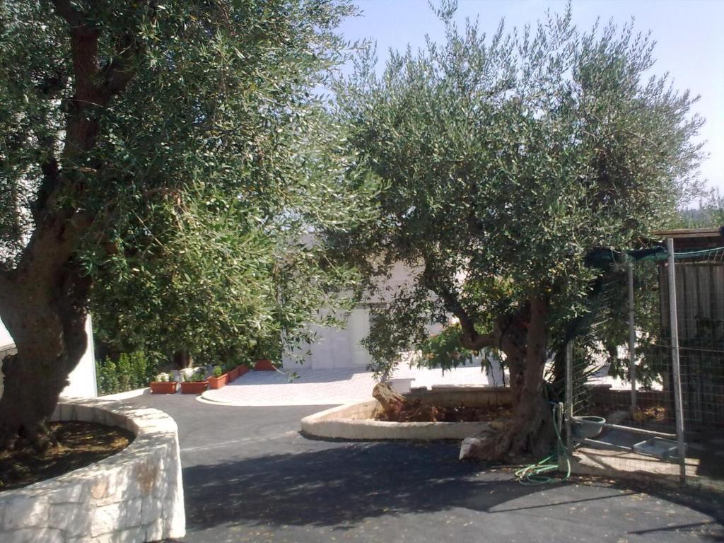 Bed & Breakfast La Collinetta Locorotondo Exterior foto